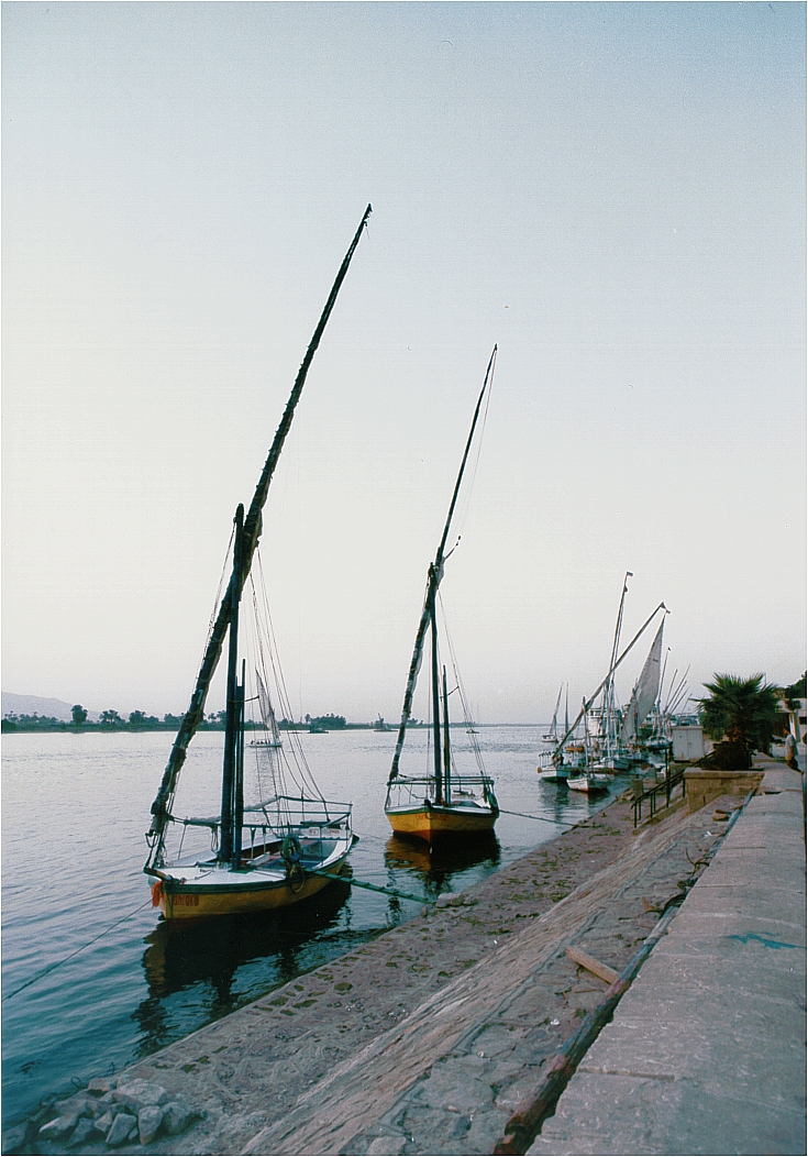 nile faluccas